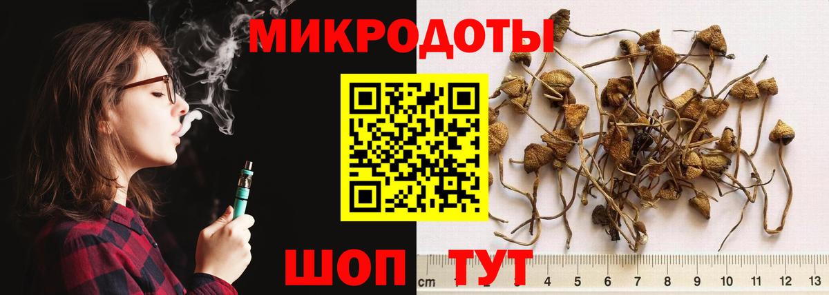Конаково  Псилоцибиновые грибы Cubensis  Вход с VPN 